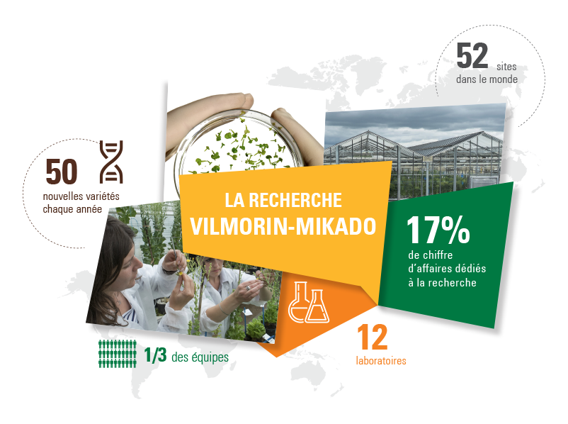 vilmorin-mikado la recherche