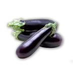 Aubergine