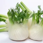 Fenouil